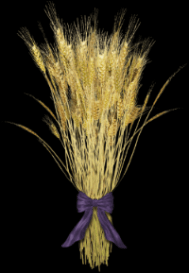 See the source image